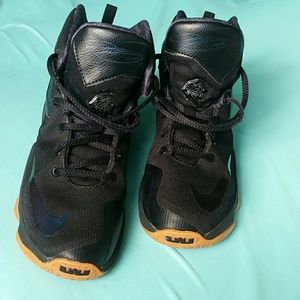 LeBron 13s